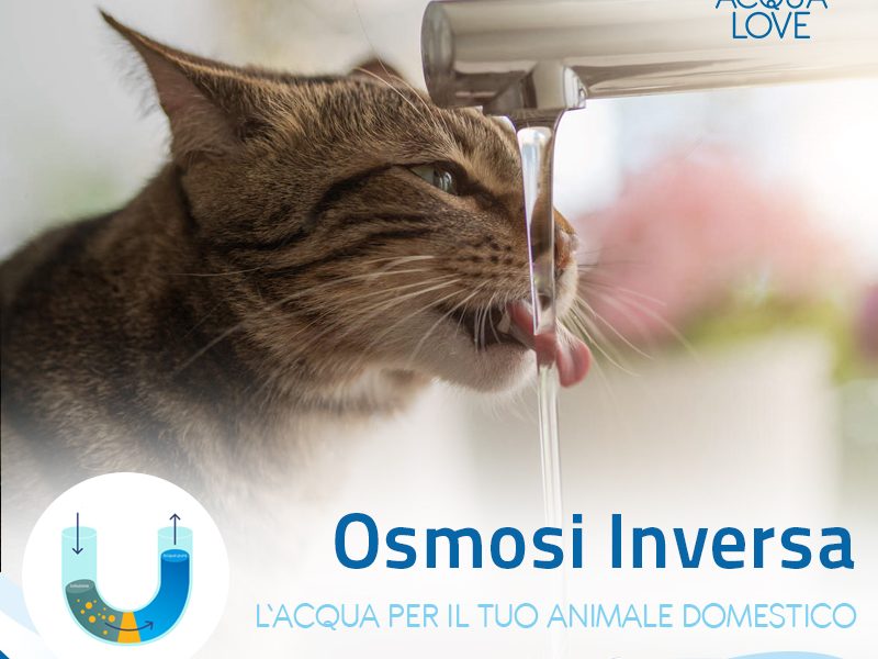acqua animale domestico osmosi